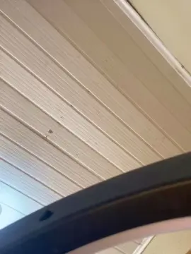 Cam4 Sex Chat of Elamesma_