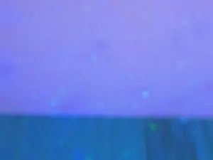 Cam4 Adult Video Chat of Sarah_Drew