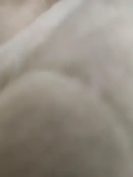 Cam4 Best live sex cam show of Juanin_24