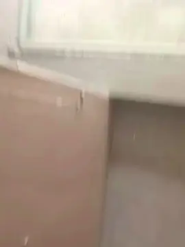 Cam4 Adult Video Chat of Pngrande20cm