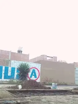 Cam4 Adult Video Chat of Pngrande20cm