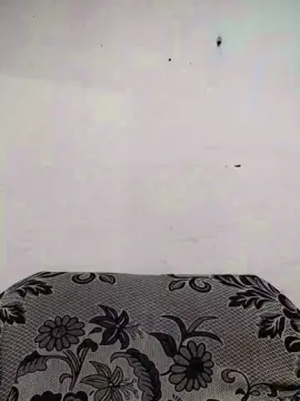 Cam4 Live Sex of PretoXXXBlack