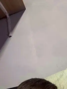 Cam4 Best Webcam of David0076a