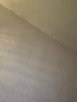 Cam4 Free Porn Cam of Sofiaydaniel