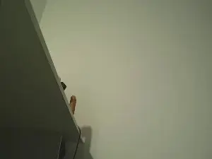 Cam4 Free Live Porn of Venelope1