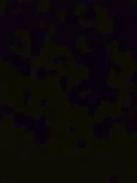 Cam4 Live Porn of Conecasal