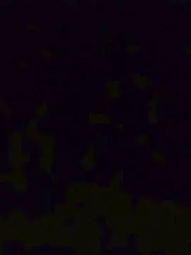 Cam4 Live Porn of Conecasal