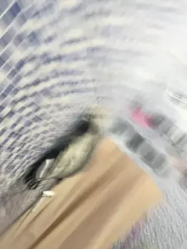 Cam4 Nude Webcam of willyams4