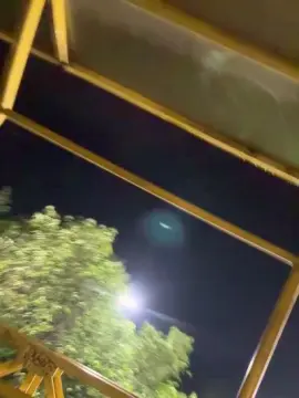 Cam4 Live Porn of Outdoorsd