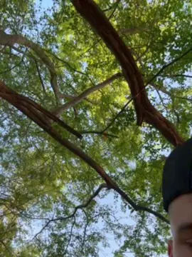 Cam4 Adult Webcams of Outdoorsd