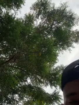 Cam4 Best live sex cam show of Outdoorsd