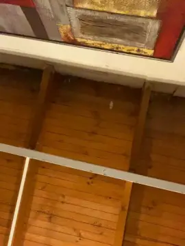 Cam4 Adult Webcam of marcelsexfun