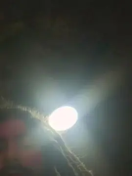 Cam4 Nude Webcam of hornycockk6