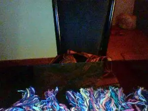 Cam4 Adult Webcam of pauloronga