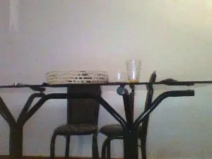 Cam4 Sex Chat of pauloronga
