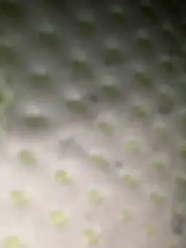 Cam4 Best Webcam of rocco487