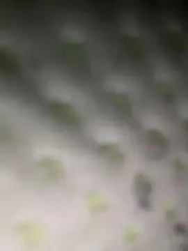 Cam4 Private Sex Chat of rocco487