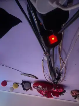 Cam4 Best Webcam of Rubii2023