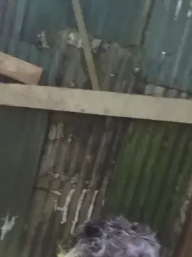 Cam4 Live Porn of rodri671