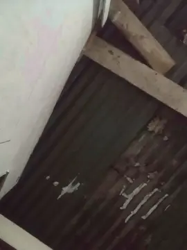 Cam4 Free Porn Cam of rodri671