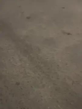 Cam4 Watch Live Sex Cams of AovivoNoWht