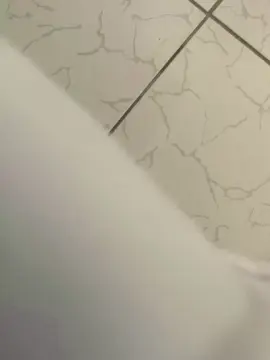 Cam4 Free Porn Cam of Alinecassi