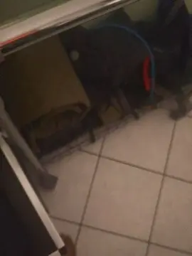 Cam4 Adult Webcams of Beastcock666