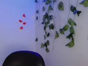 Cam4 Nude Webcam of SabrinaOlson
