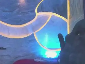 Cam4 Private Sex Chat of Handsome_boys_