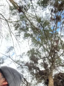 Cam4 Best Webcam of Lu_01