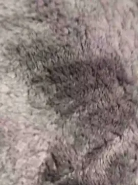 Cam4 Free Live Porn of Sxtrhot19