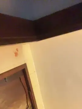 Cam4 Watch Live Sex Cams of joao_xc