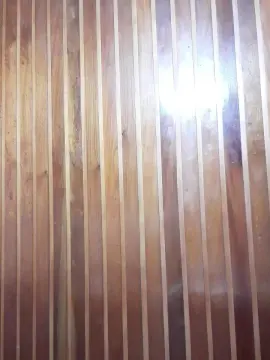 Cam4 Best live sex cam show of Sofiaaa777