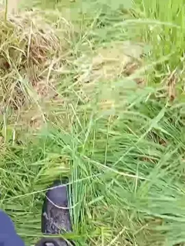 Cam4 Nude Webcam of Slutddy