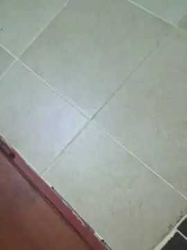 Cam4 Live Sex Cam of Tucumanobisex