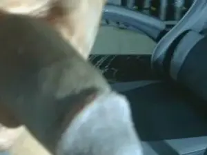 Cam4 Live Sex Cam of Sexyromeo_bbc