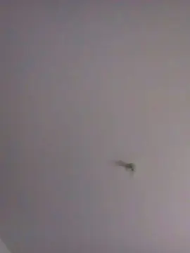 Cam4 Live Sex Cam of Bigblackfrenck