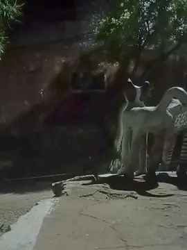 Cam4 Sex Cam of Flanjuh