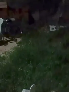 Cam4 Watch Live Sex Cams of Flanjuh