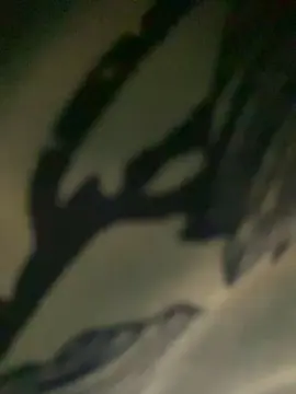 Cam4 Adult Video Chat of mucilondogera