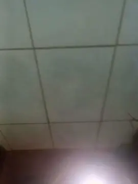 Cam4 Sex Chat of Pauveiudo777