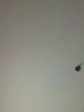 Cam4 Nude Webcam of gatitacalient3