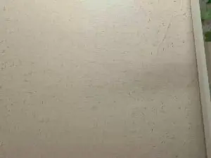Cam4 Best live sex cam show of EarlieIliffe