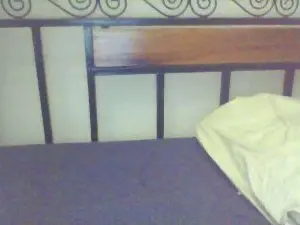 Cam4 Best Webcam of cute_shantel