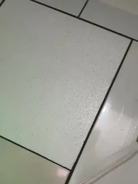 Cam4 Free Porn Cam of Ruivinhaxx18