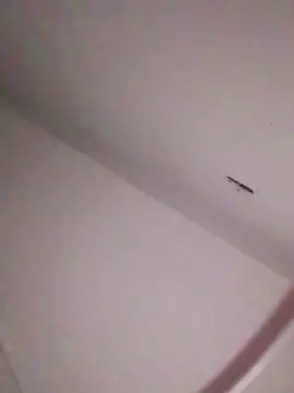 Cam4 Adult Video Chat of victor62Go