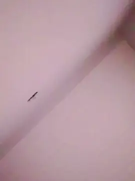 Cam4 Nude Webcam of victor62Go