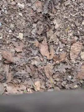 Cam4 Live Sex Cam of 18cmdickforU