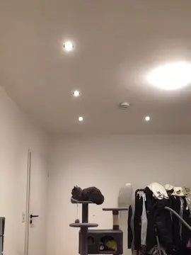 Cam4 Free Porn Cam of youngplayboymm