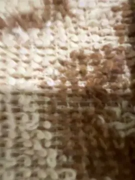 Cam4 Adult Webcams of Desconhecido19